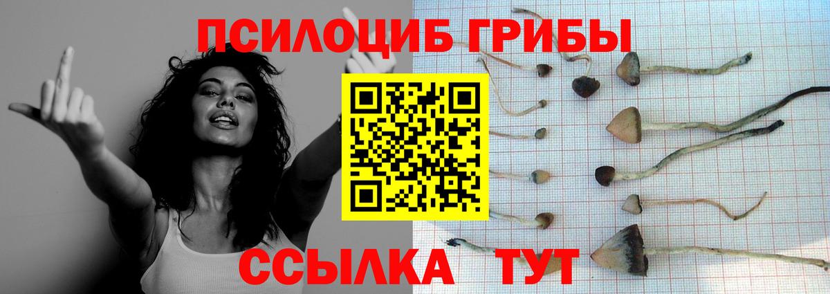 Галлюциногенные грибы мухоморы Новый Уренгой